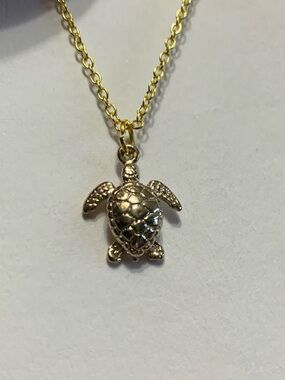 Teeny Tiny Turtle Pendant and Chain